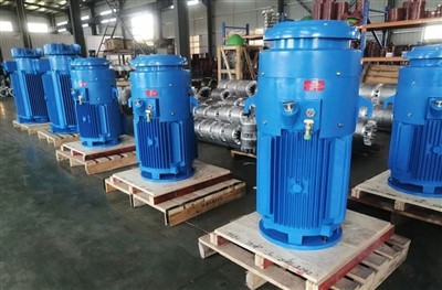 Elektromotory s vertikálnym dutým hriadeľom série VHS